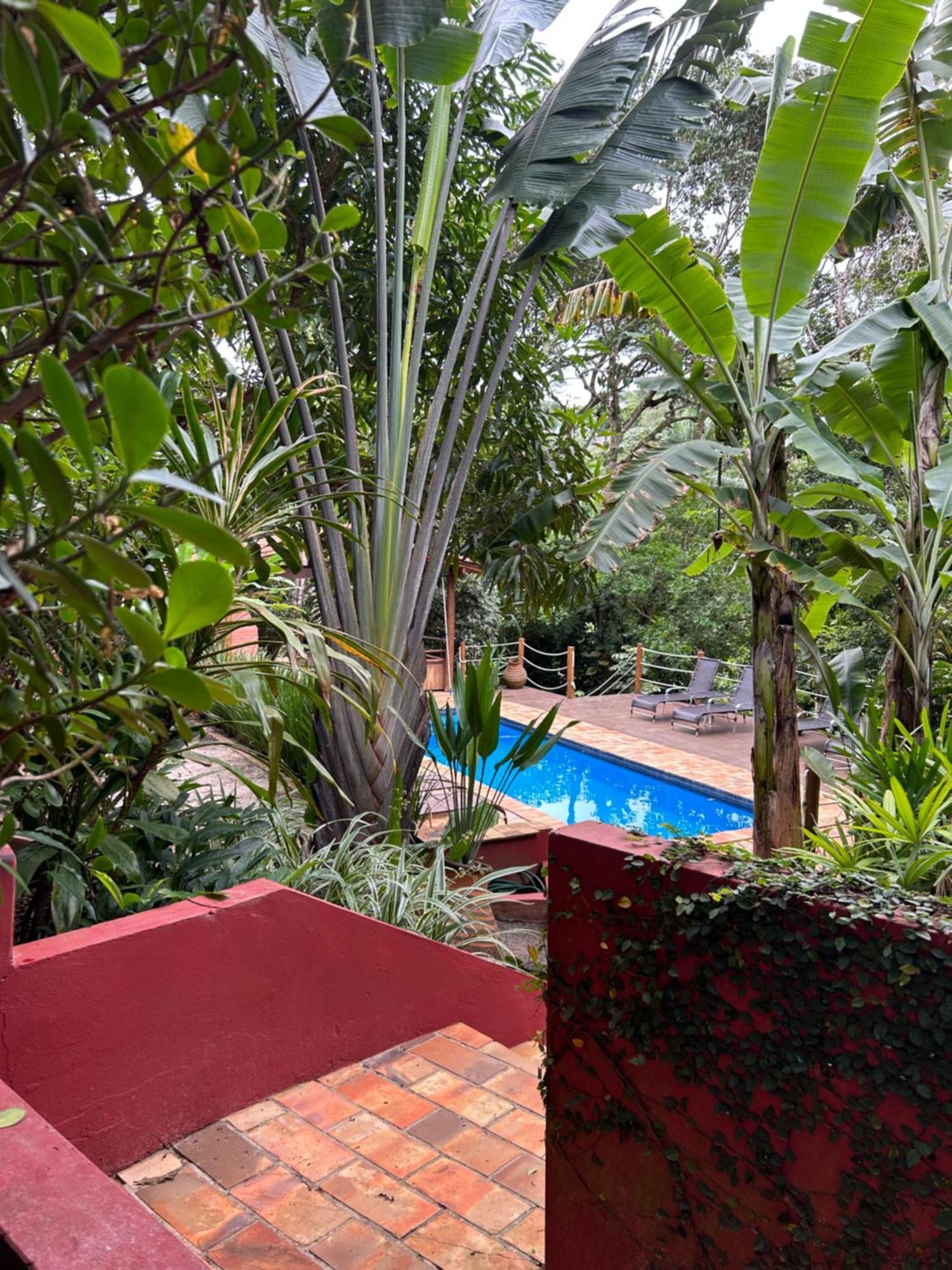 Jardim Botanico Casa Rossa Bungalows & Apartments Morro de São Paulo Exterior foto